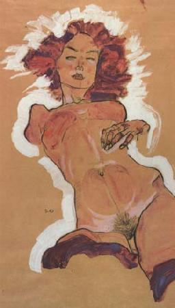 Egon Schiele Female Nude (mk12) oil painting image